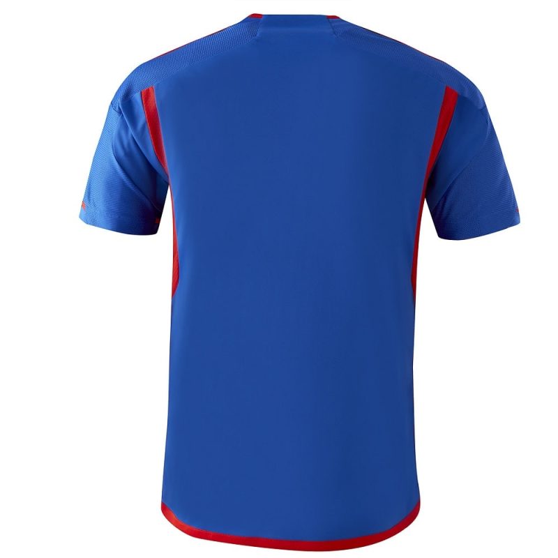 MAILLOT OL EXTERIEUR 2023 2024 MAILLOT OL EXTERIEUR 2023 2024