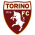 torini logo