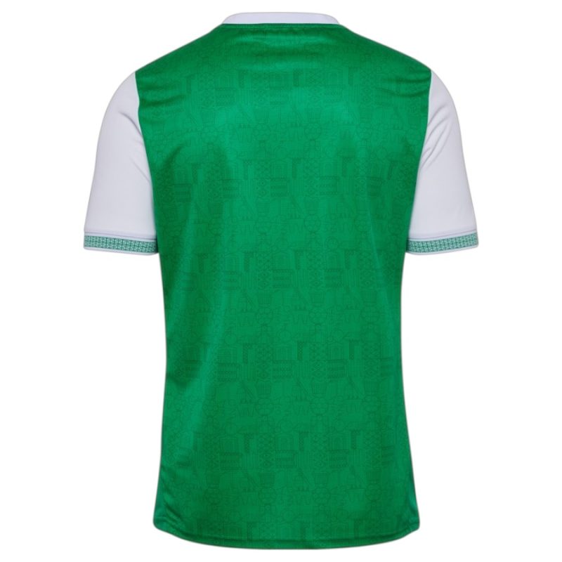 Maillot Saint Etienne Domicile 2025 2026 Maillot Saint Etienne Domicile 2025 2026