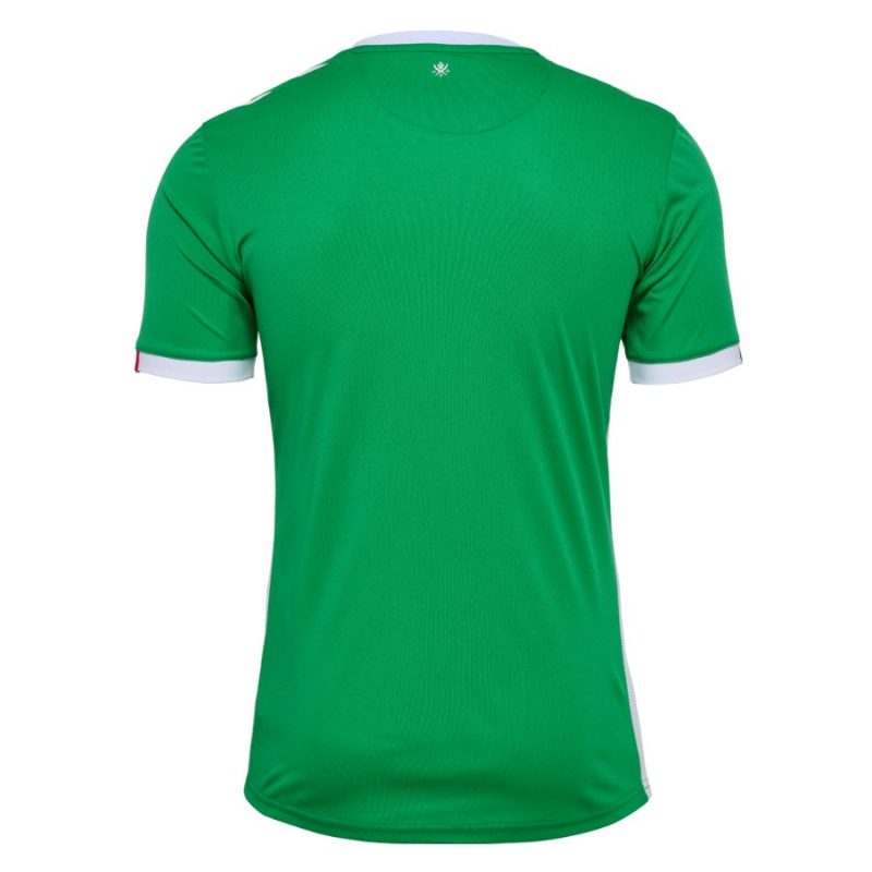 Maillot AS Saint Etienne Domicile 2024 2025