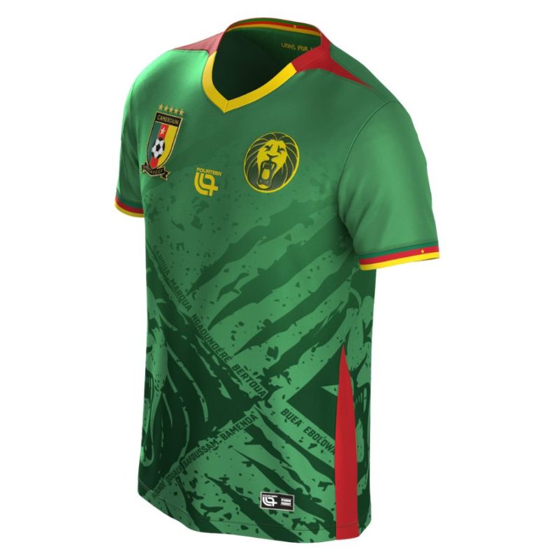 Maillot Kit Enfant Cameroun Domicile 2025 2026 Maillot Kit Enfant Cameroun Domicile 2025 2026