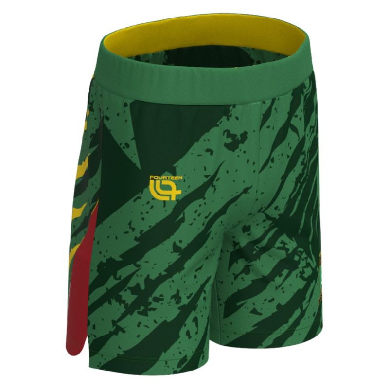 Maillot Kit Enfant Cameroun Exterieur 2025 2026 Maillot Kit Enfant Cameroun Exterieur 2025 2026