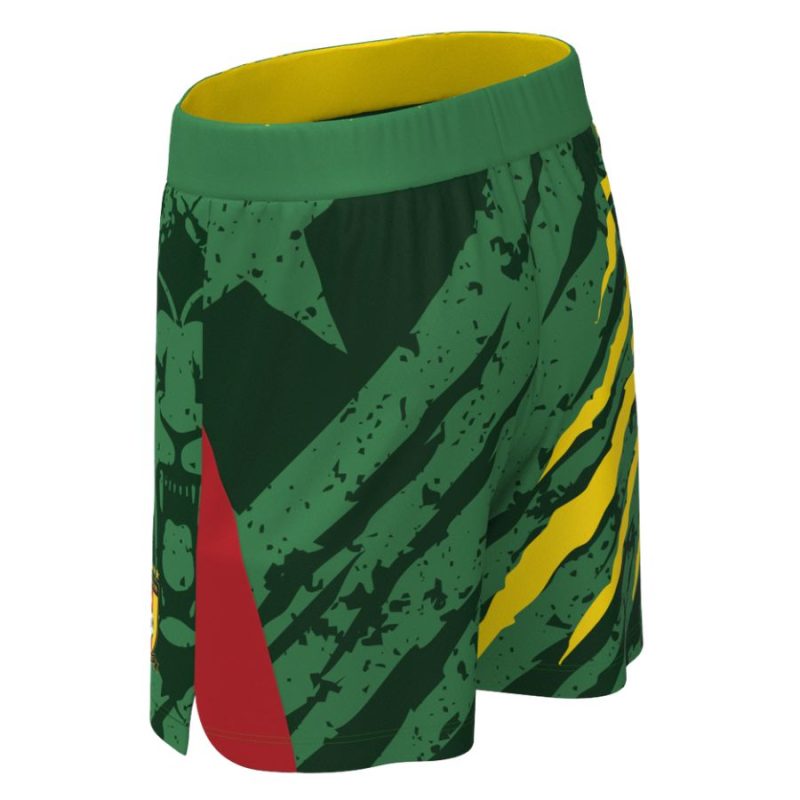 Maillot Kit Enfant Cameroun Exterieur 2025 2026 Maillot Kit Enfant Cameroun Exterieur 2025 2026