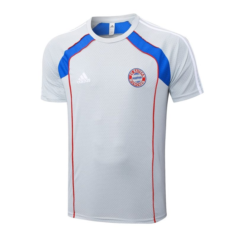 Ensemble Maillot Short Bayern Munich 2025 2026 Gris Ensemble Maillot Short Bayern Munich 2025 2026 Gris